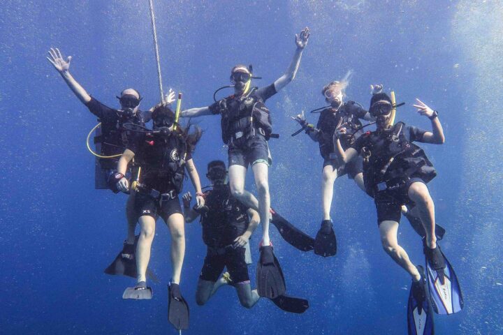 Diving with Roctopus!