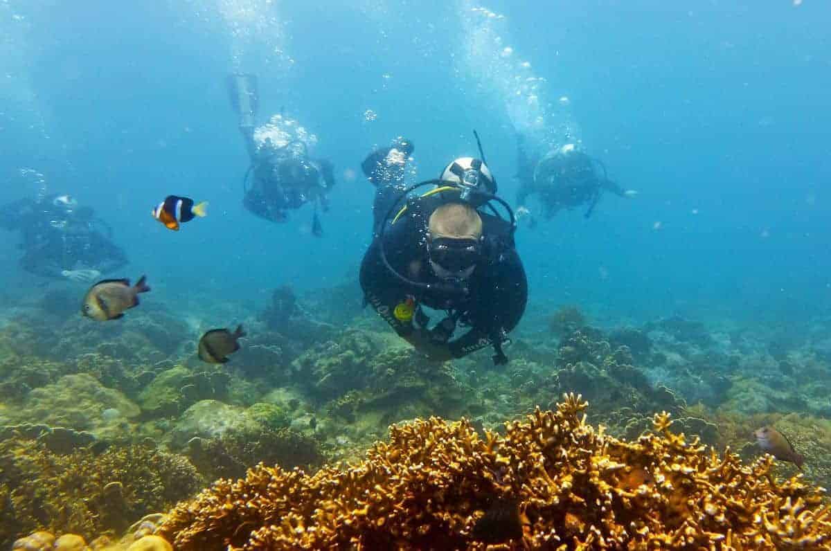 Diving in Southeast Asia  Where are the Best Places to SCUBA Dive?