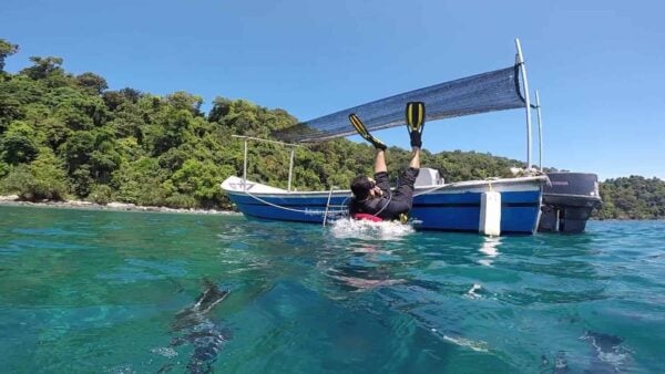 SCUBA Diving Packages | Half Day - 2 Days | REDANG ISLAND, MALAYSIA - Image 7