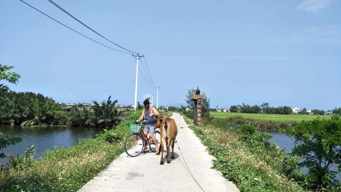 Cycling in the countryside around Hoi An