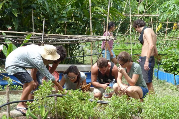 Rak Tamachat Permaculture Course, Thailand