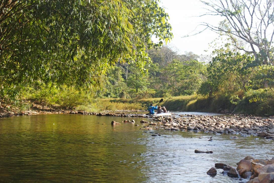 Canoeing on Khao Sok River
