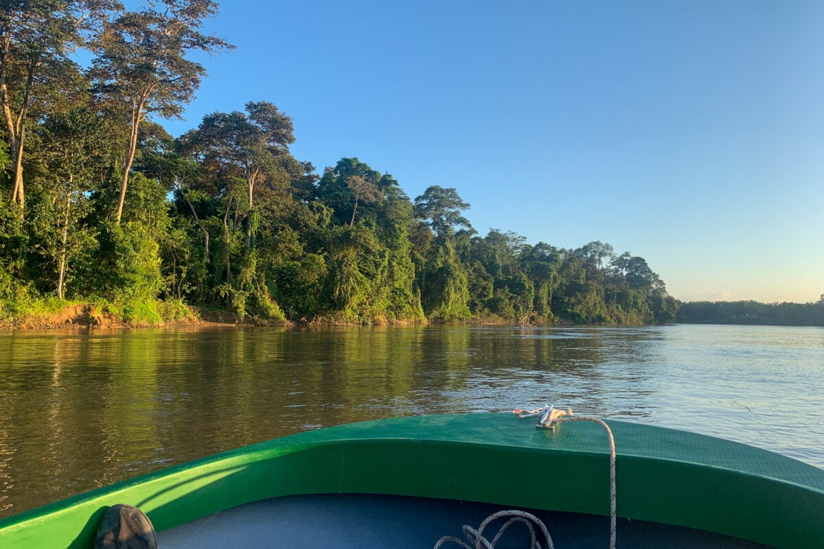 Kinabatangan River Cruise