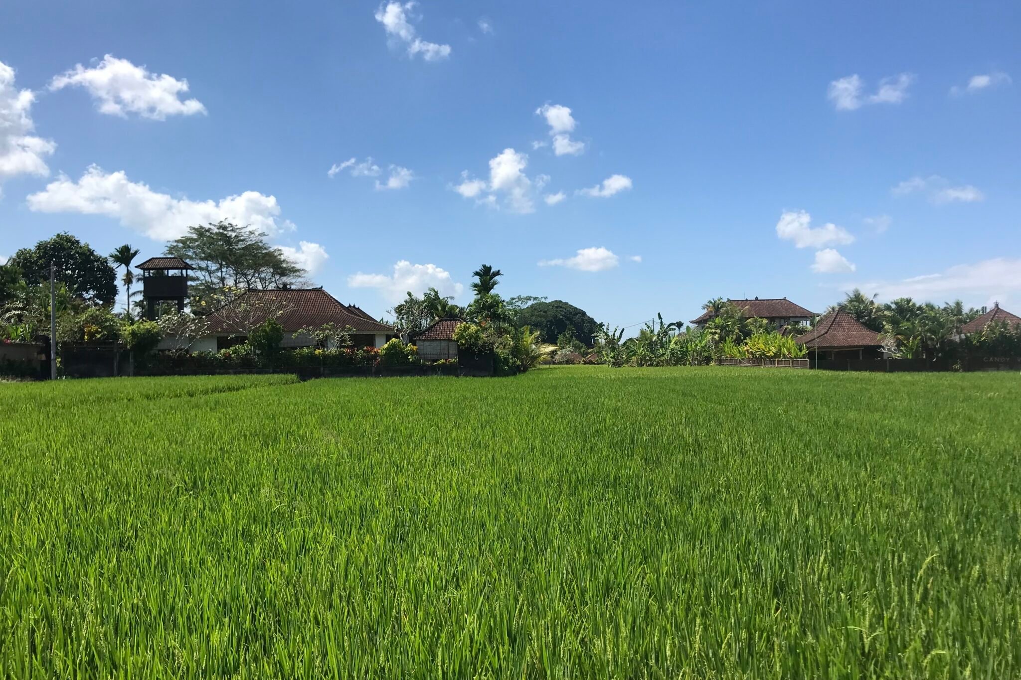 balinese-traditions-and-customs-a-cultural-guide