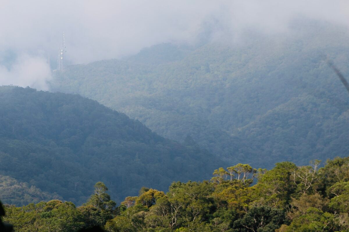 Mist over mountains in Kinabalu National Park