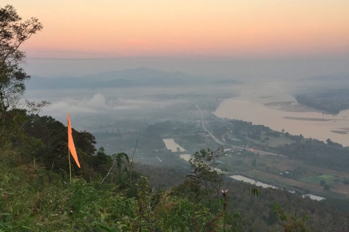 Aerial view of rice fields and river